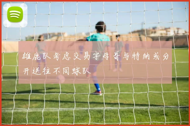 雄鹿队考虑交易字母哥与特纳或分开送往不同球队